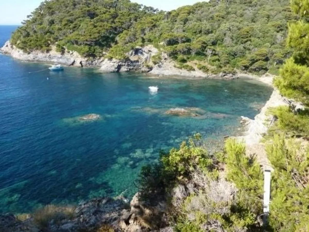 Charmant T2 A Giens Avec Grande Terrasse, Piscine Et A Proximite Des Plages - Fr-1-335-160 Hyères 0*,
